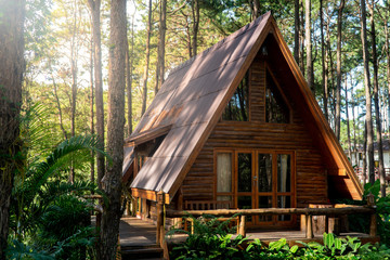 cabin vacation home