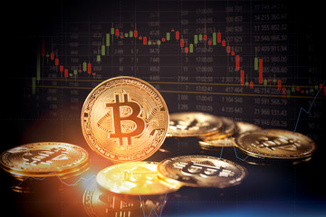 bitcoin cryptocurrency